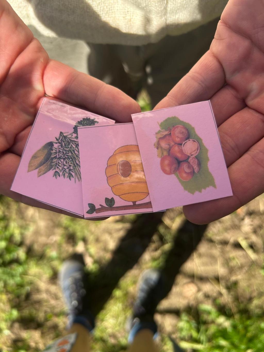 Cevi Programm 28. Februar 