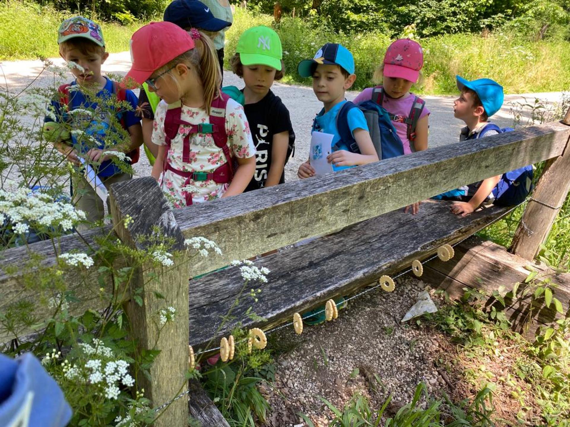 Cevi Programm vom 18. Februar