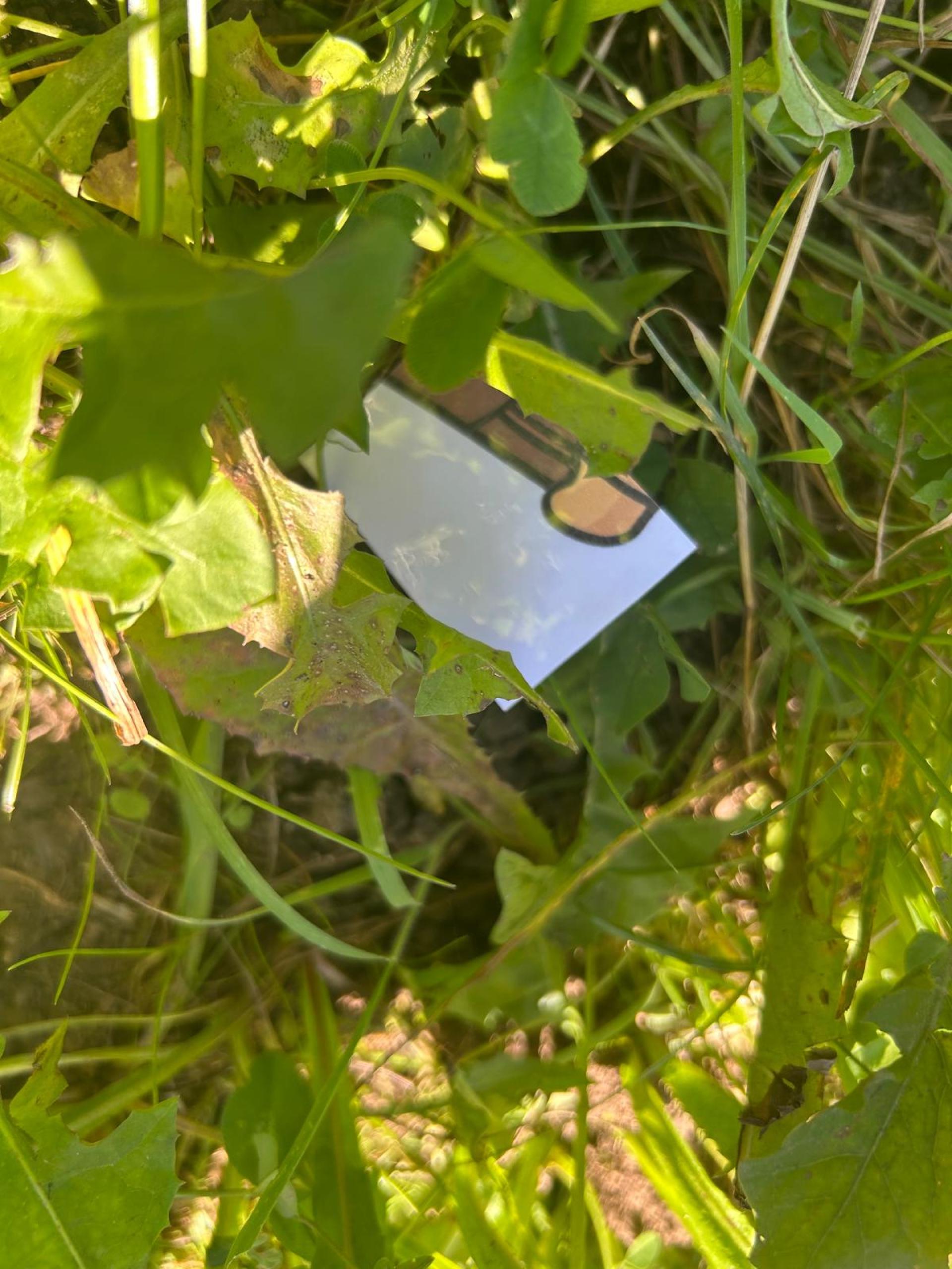 Cevi Programm 14. Februar 